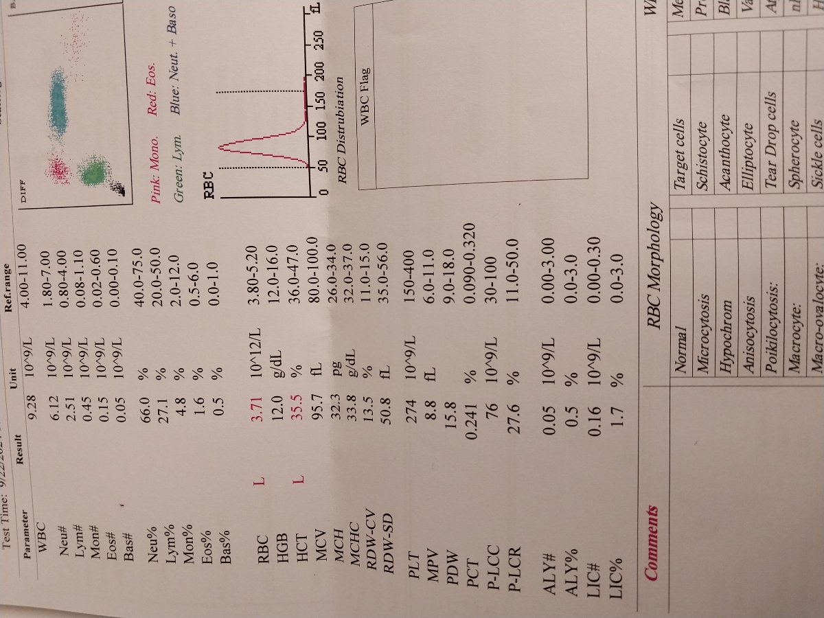 تفسیر جواب آزمایش