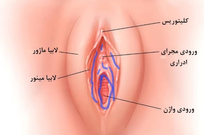 این قسمت ها  سوزش و خارش دارم و دور ورودی واژن