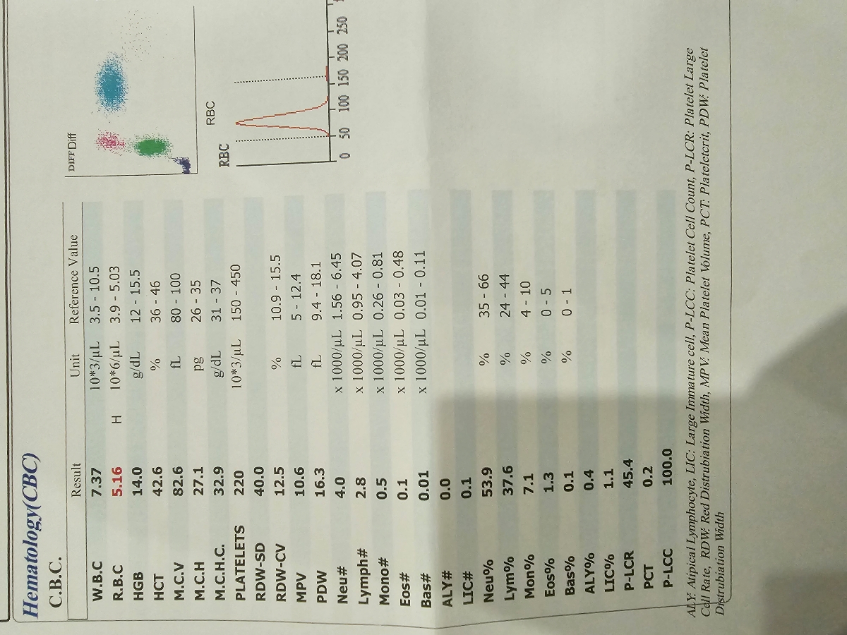 تفسیر سونو رحم و تخمدان