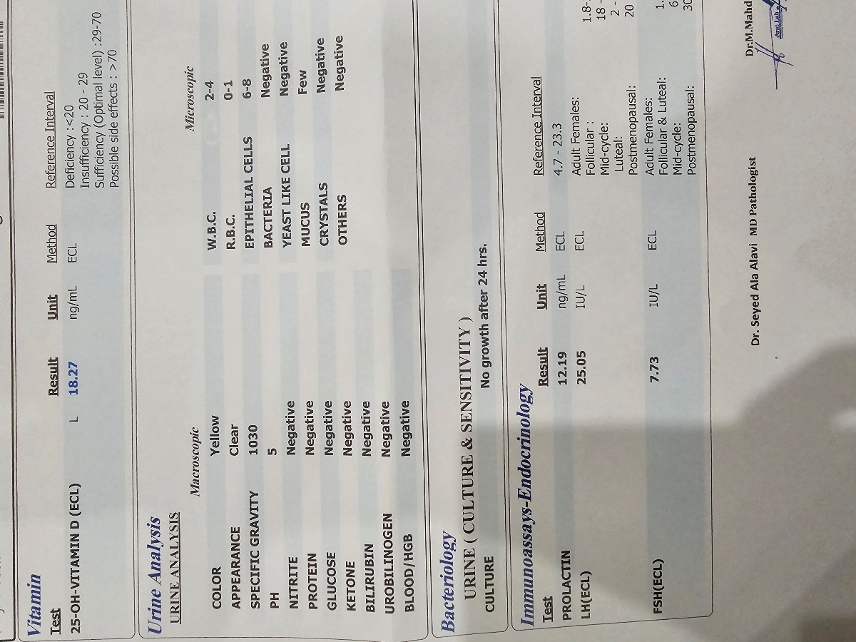 تفسیر سونو رحم و تخمدان