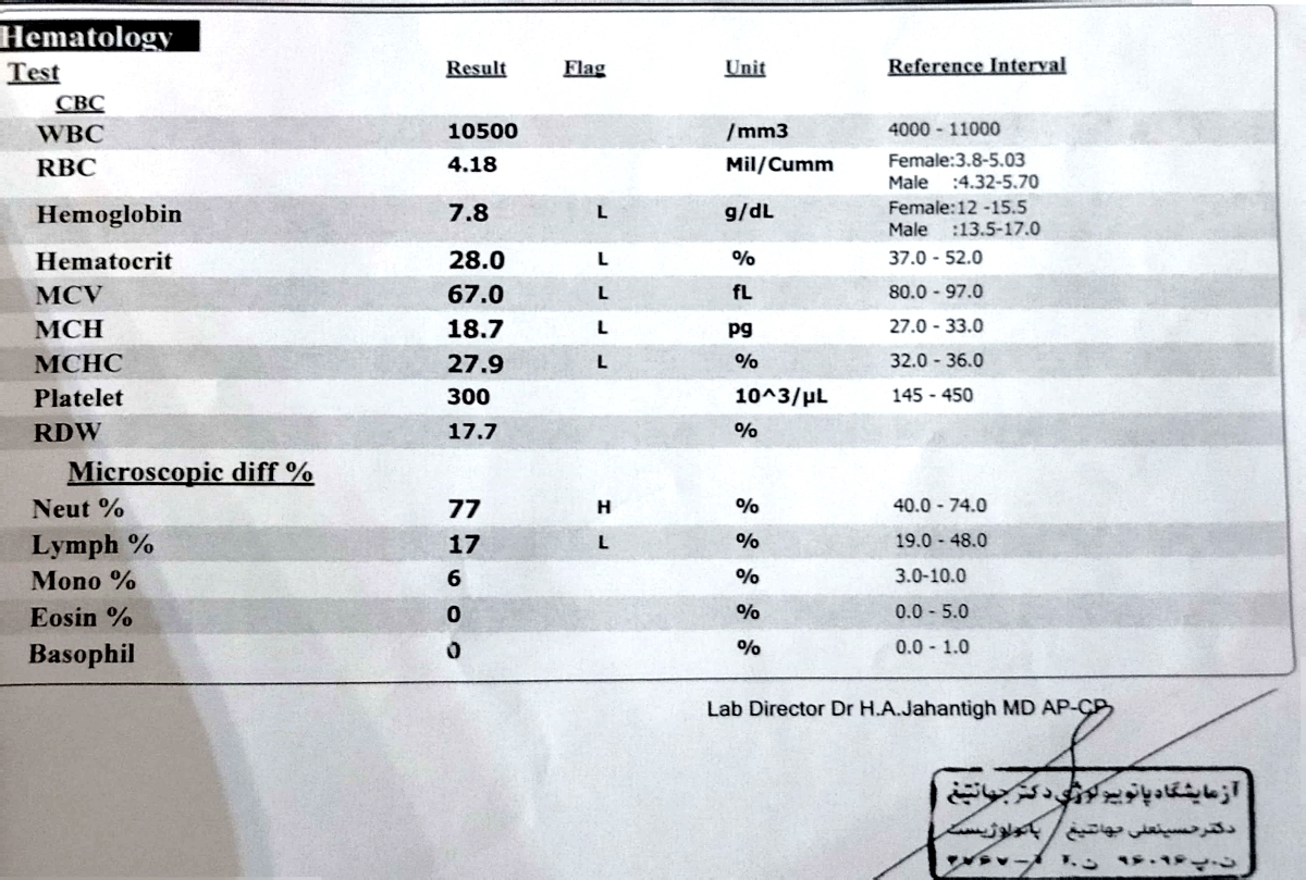 این در تاریخ ۲۸/۸