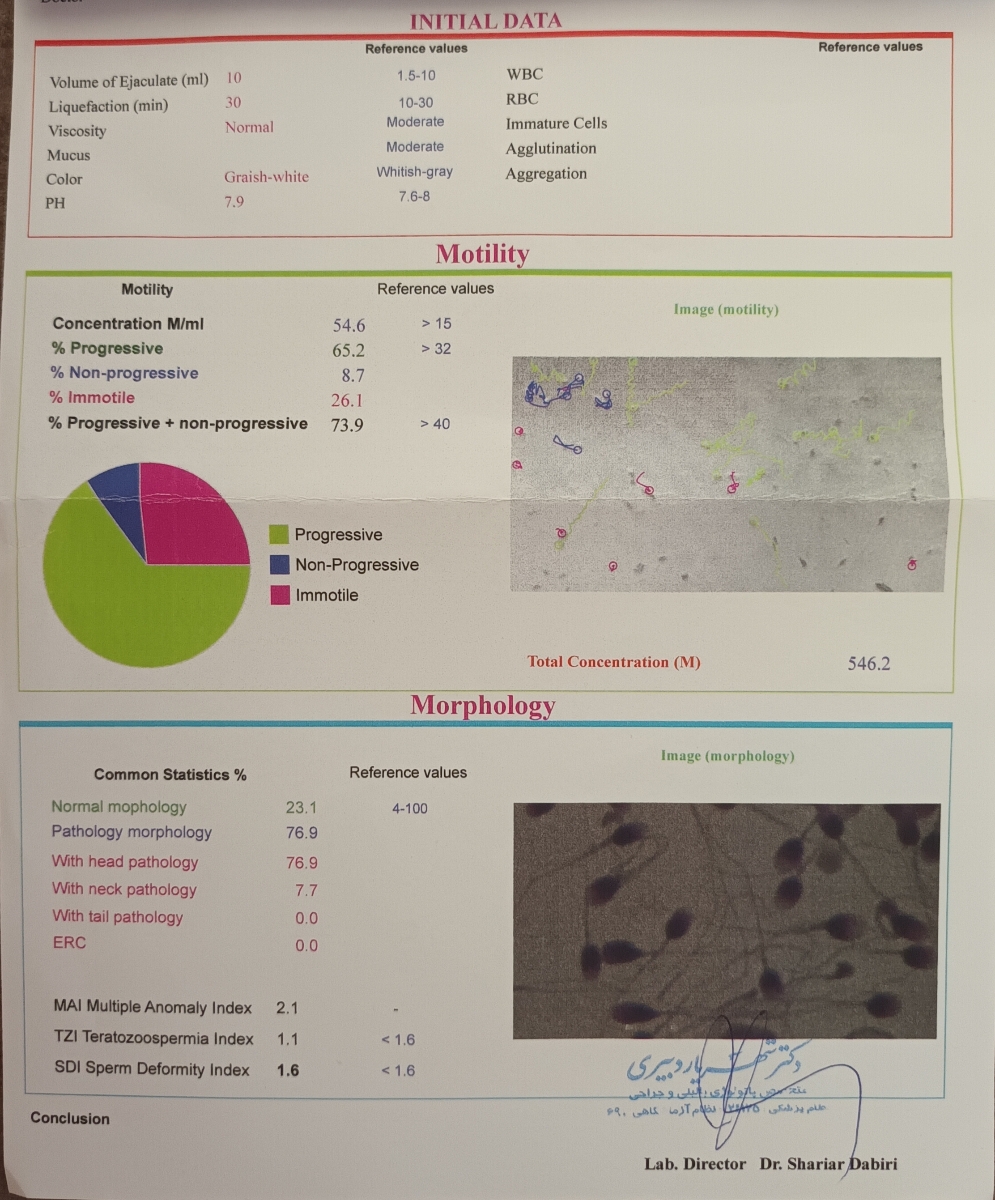 تفسیر ازمایش اسپرم