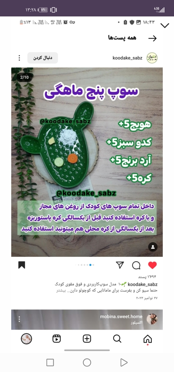 غذا دادن به کوک