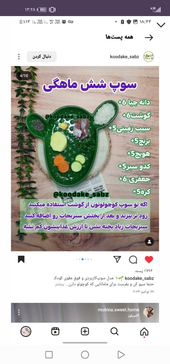 غذا دادن به کوک