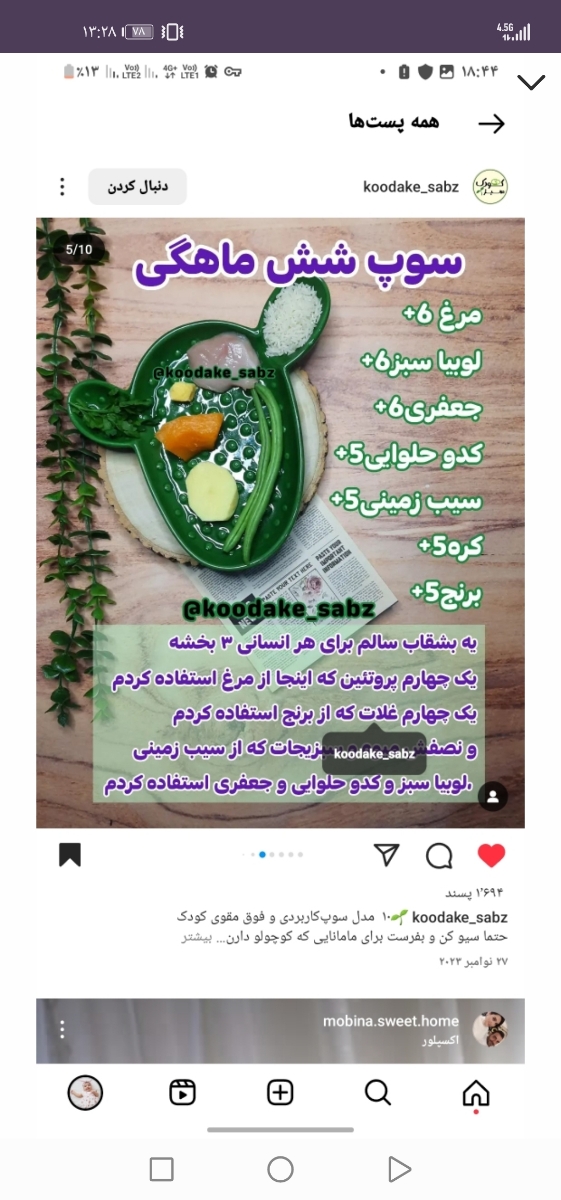 غذا دادن به کوک