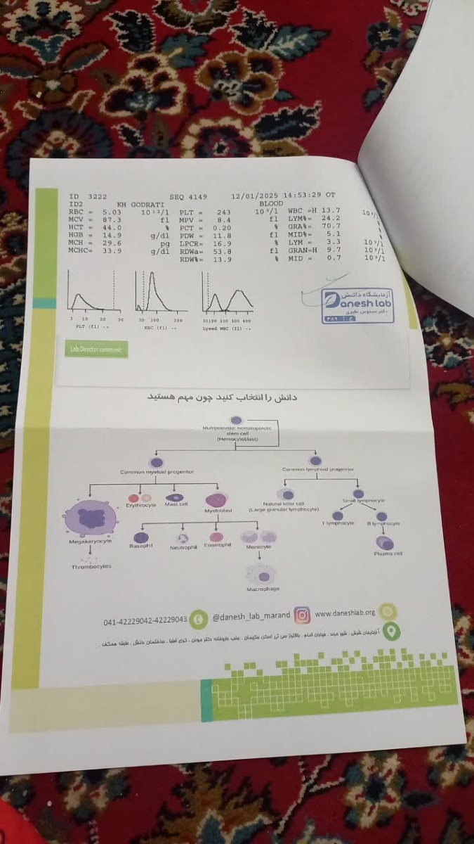 سونوگرافی رو تفسیر میکنید؟