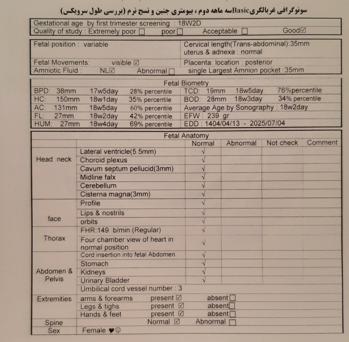 تفسیر سونو آنومالی 💓😊