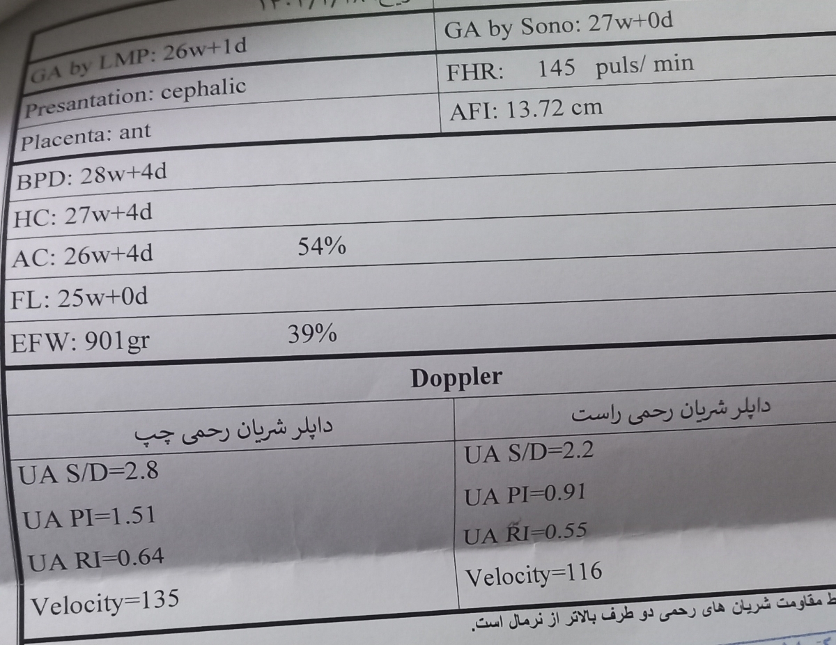 تفسیر سونو هفته ی ۲۷ تفسیر سونو هفته ی ۲۷