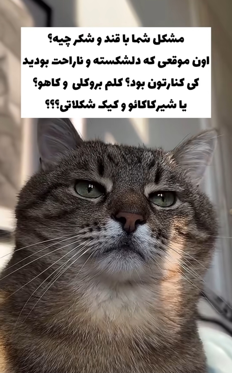 کی پایه هست برای رژیم ؟؟؟؟