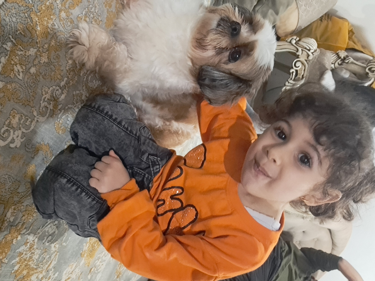مهمانی تو خونه ای که حیوون خونگی رفت و آمد داره مهمانی تو خونه ای که حیوون خونگی رفت و آمد داره