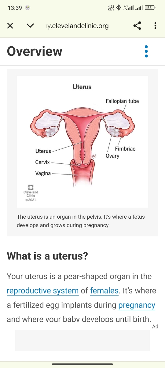 https://my.clevelandclinic.org/health/body/22467-uterus?utm_source=chatgpt.com https://my.clevelandclinic.org/health/body/22467-uterus?utm_source=chatgpt.com