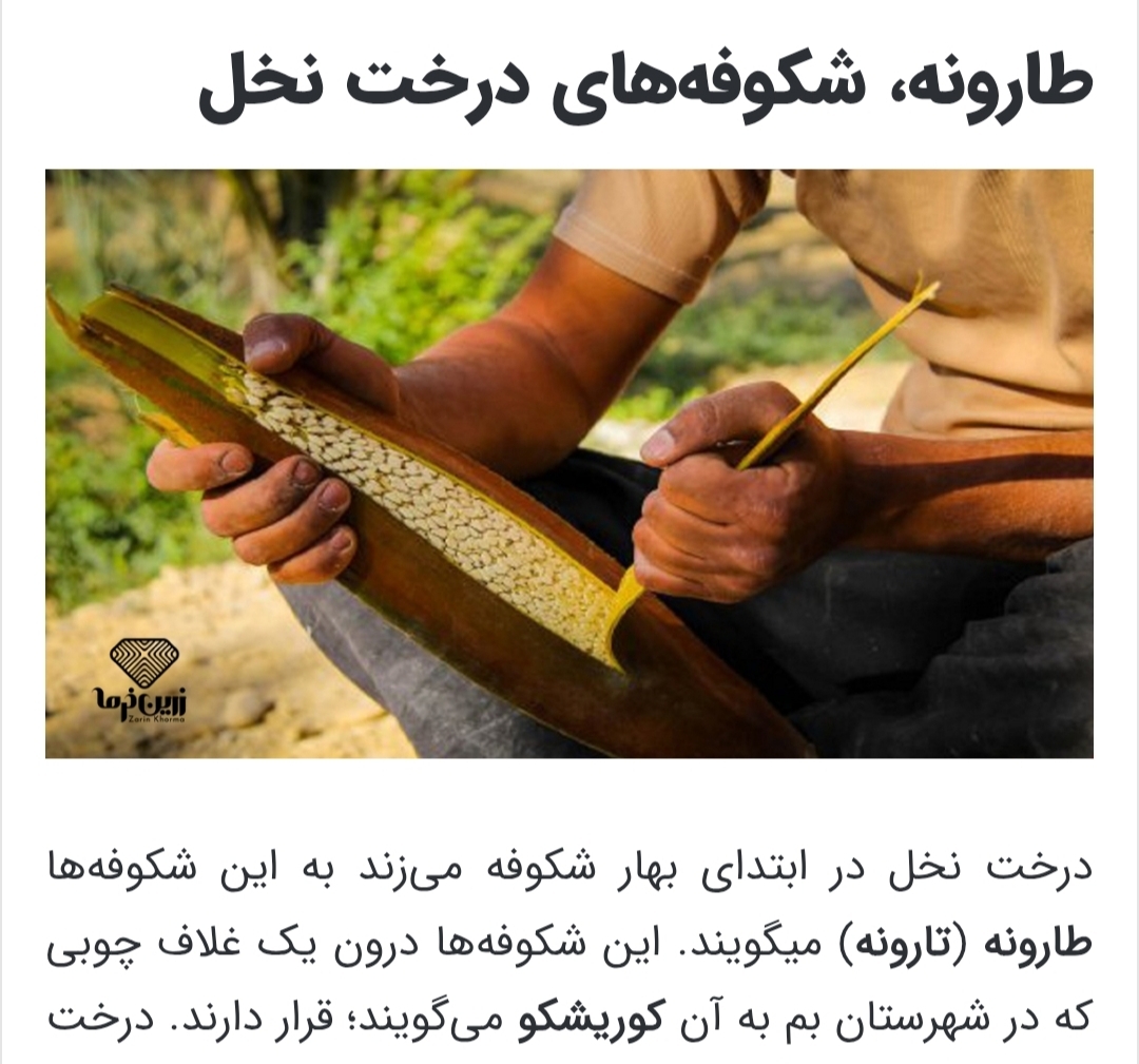 چقدر با طارونه آشنایی دارید؟! چقدر با طارونه آشنایی دارید؟!