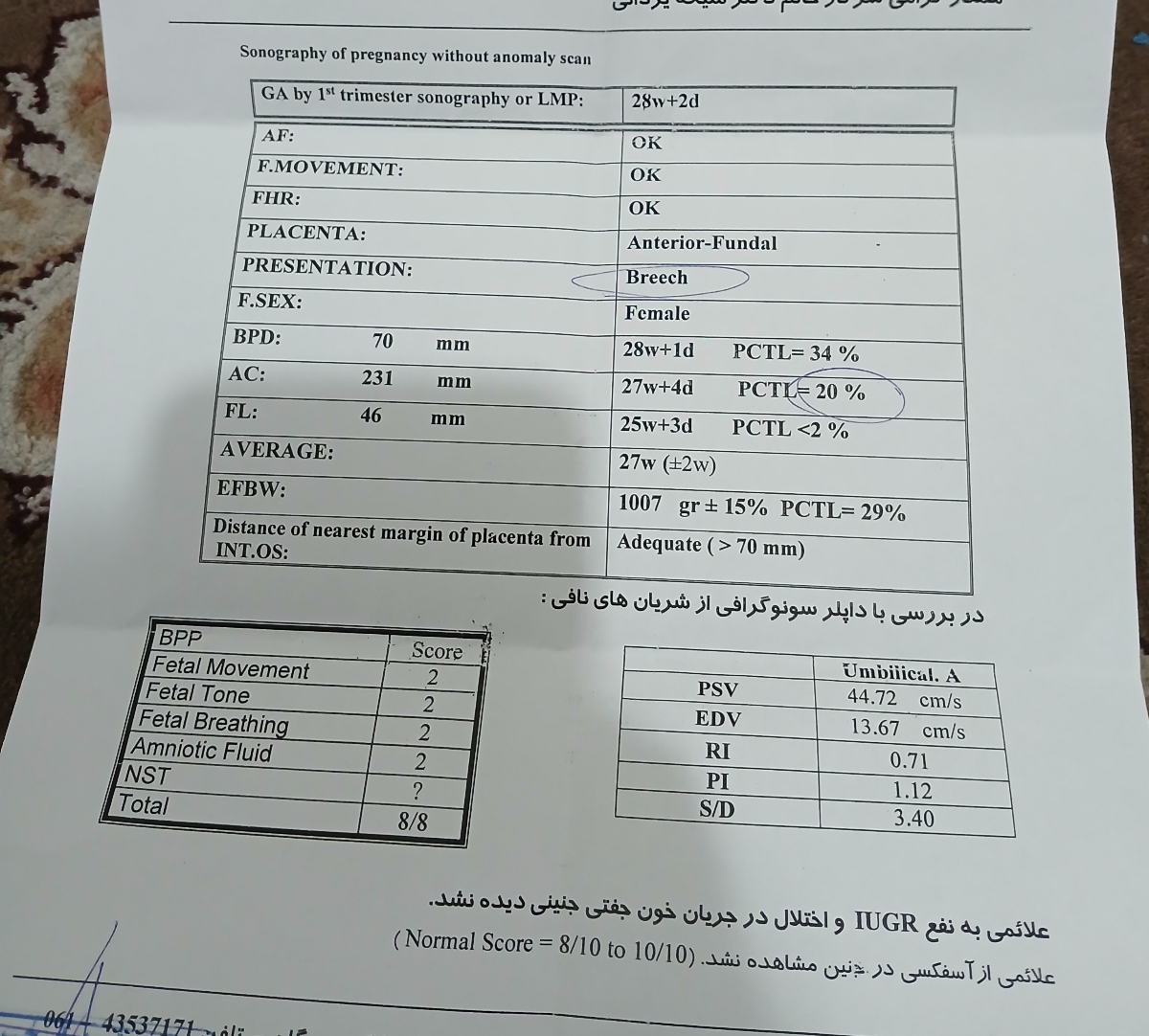 این سونوگرافی امشب که دادم این سونوگرافی امشب که دادم