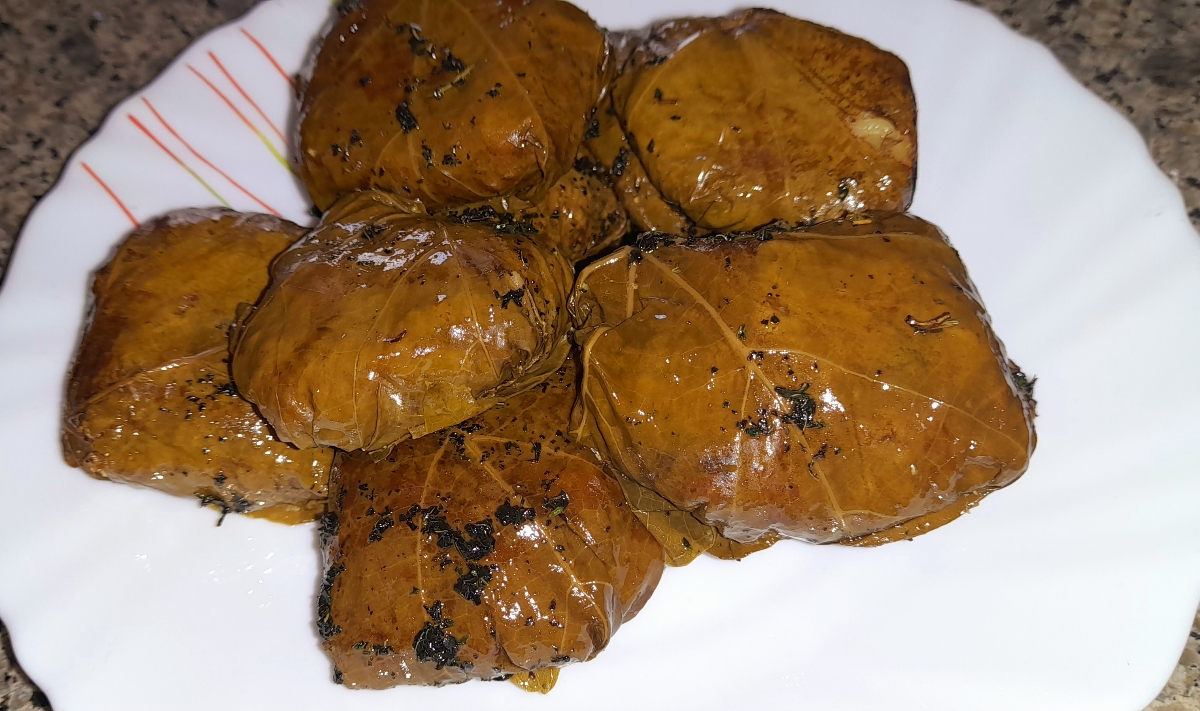 جاتون خالی😋 جاتون خالی😋