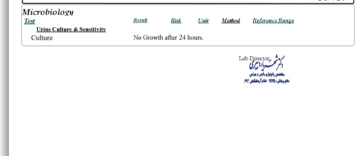 سونوی ۲۴ هفتگی