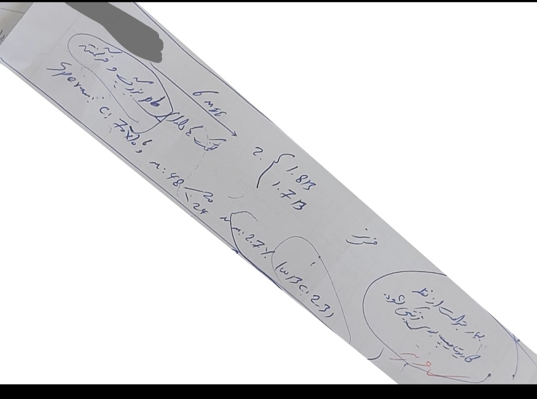 سیکل آی وی اف و مشکل در تخمک سیکل آی وی اف و مشکل در تخمک