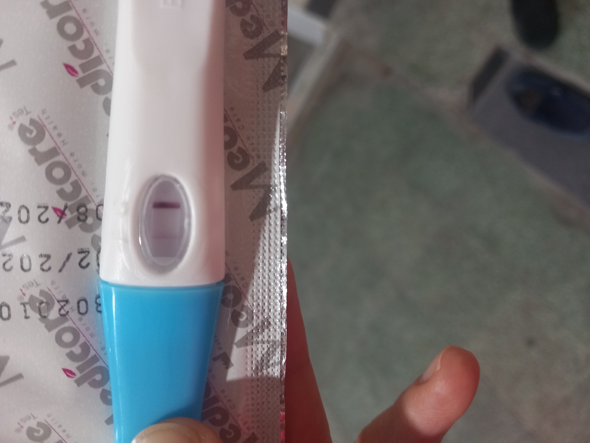 بی بی چک هاله دار روز ۱۳ انتقال جنین بی بی چک هاله دار روز ۱۳ انتقال جنین