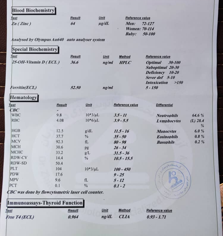 تفسیر ازمایش بارداری