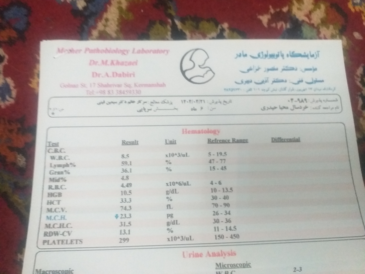 حساسیت به پروتئین گاوی