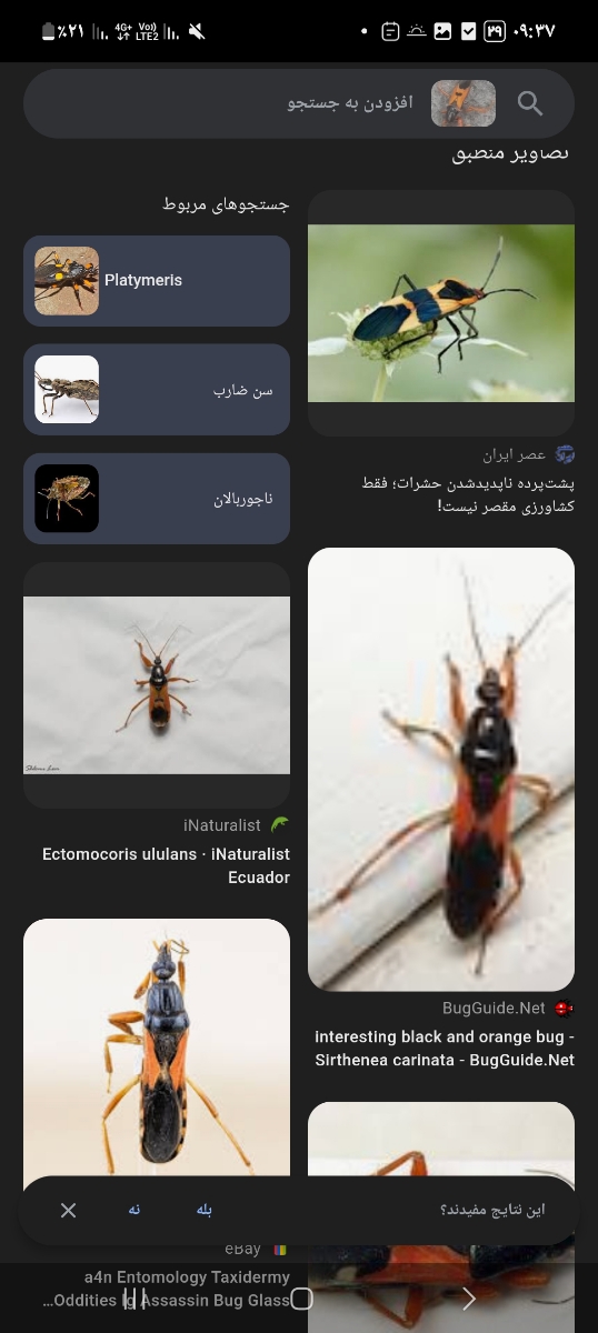 لطفا عکس رو ببینید چیه لطفا عکس رو ببینید چیه