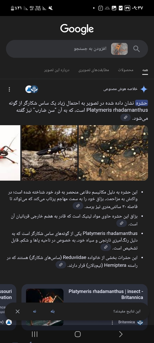 لطفا عکس رو ببینید چیه لطفا عکس رو ببینید چیه