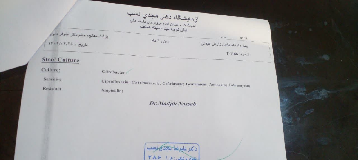 شکستن رژیم پروتئین گاوی شکستن رژیم پروتئین گاوی