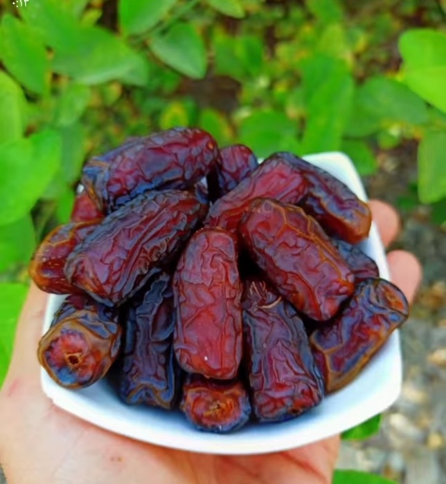 من هیچ خرمایی رو ب اندازه ی پیارم دوس ندارم،خیلی خوبه😋