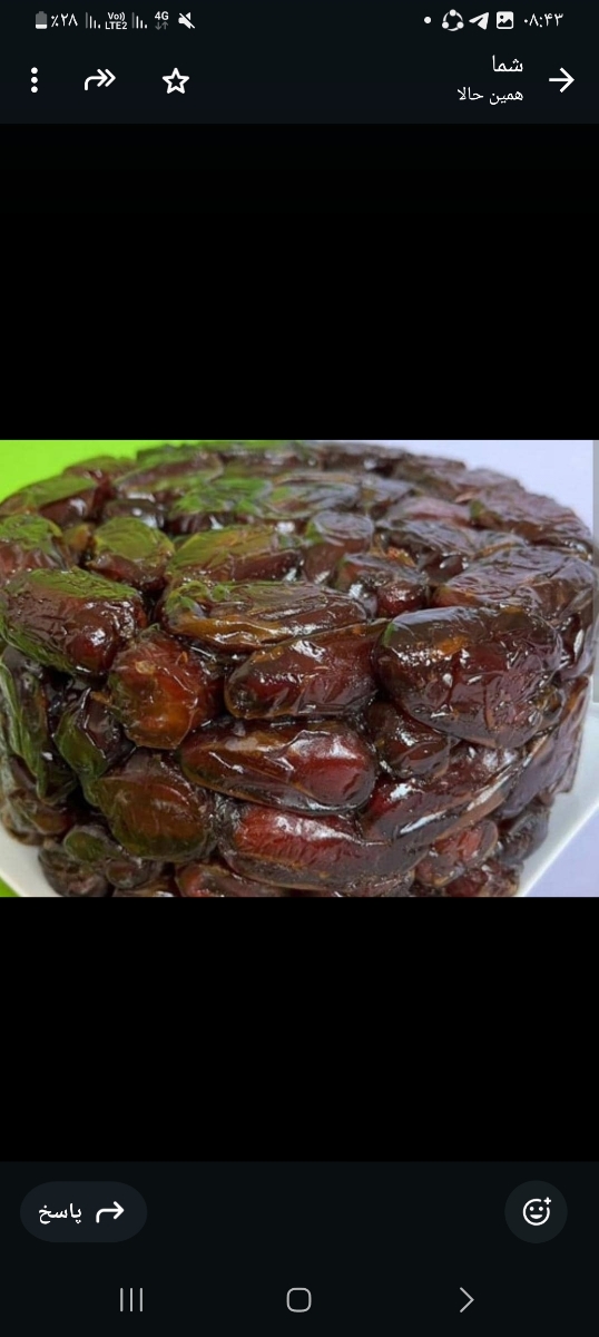 کدوم خرما خوبه