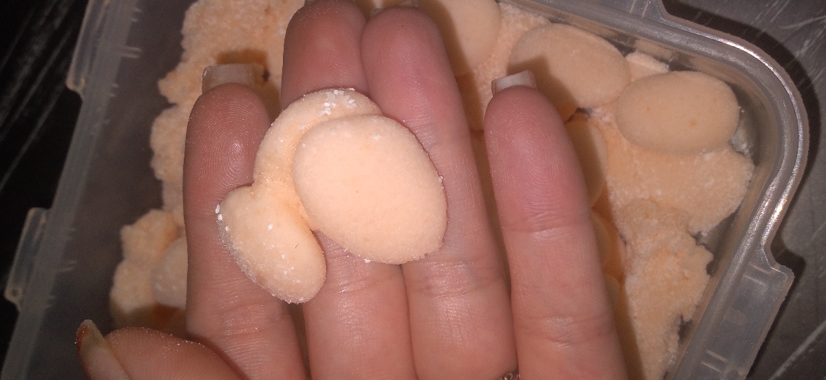 مارشمالو مارشمالو