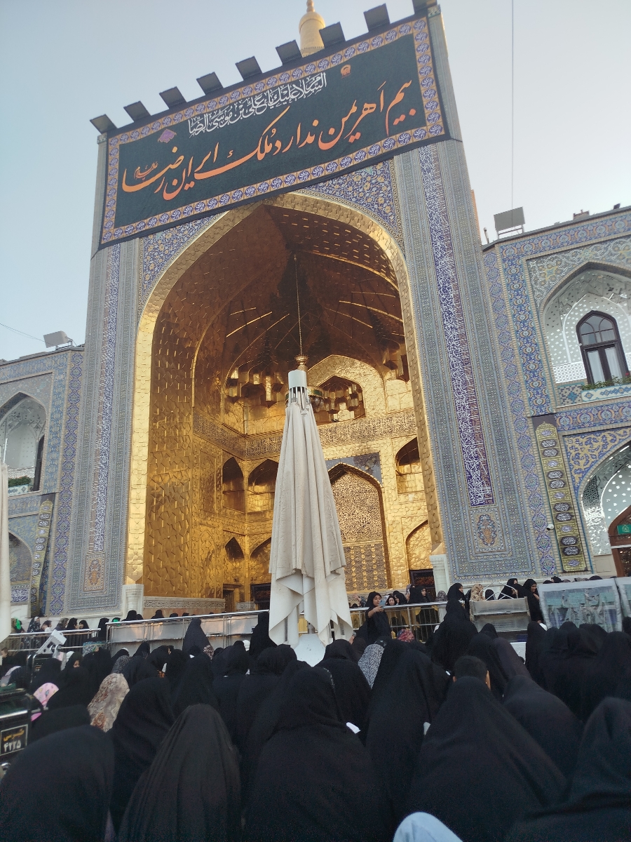 دنیز علیزاده و سلما و گل آفتابگردون و فاطیما رو یادم بود گفتم