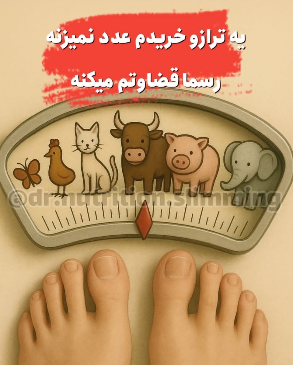 کی پایه هست برای رژیم ؟؟؟؟