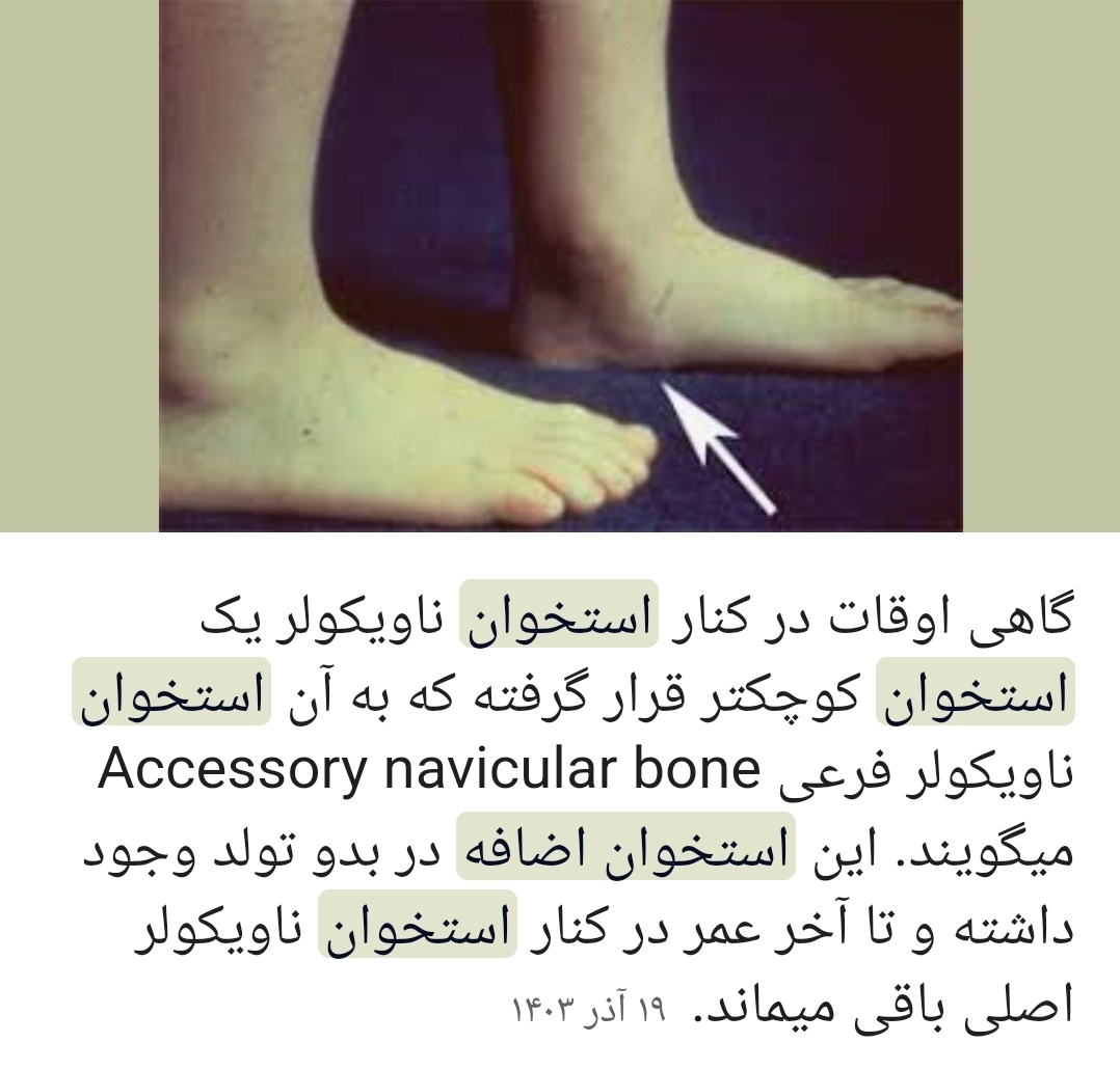 عزیزم تو نت اینو زده عزیزم تو نت اینو زده