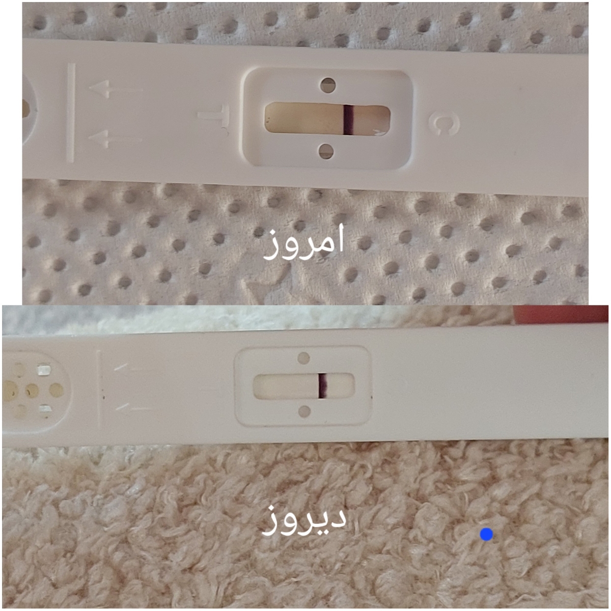 کسی با این هاله باردار بوده؟