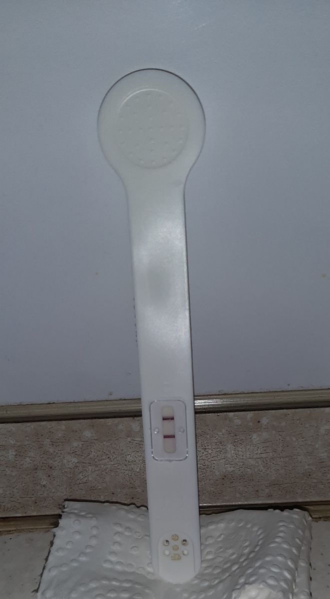 زمان انجام سونو اولیه بارداری زمان انجام سونو اولیه بارداری