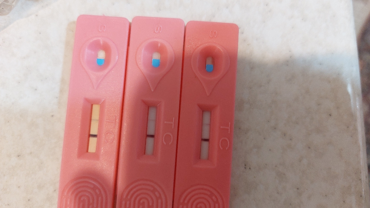 اینجوری بود اینجوری بود