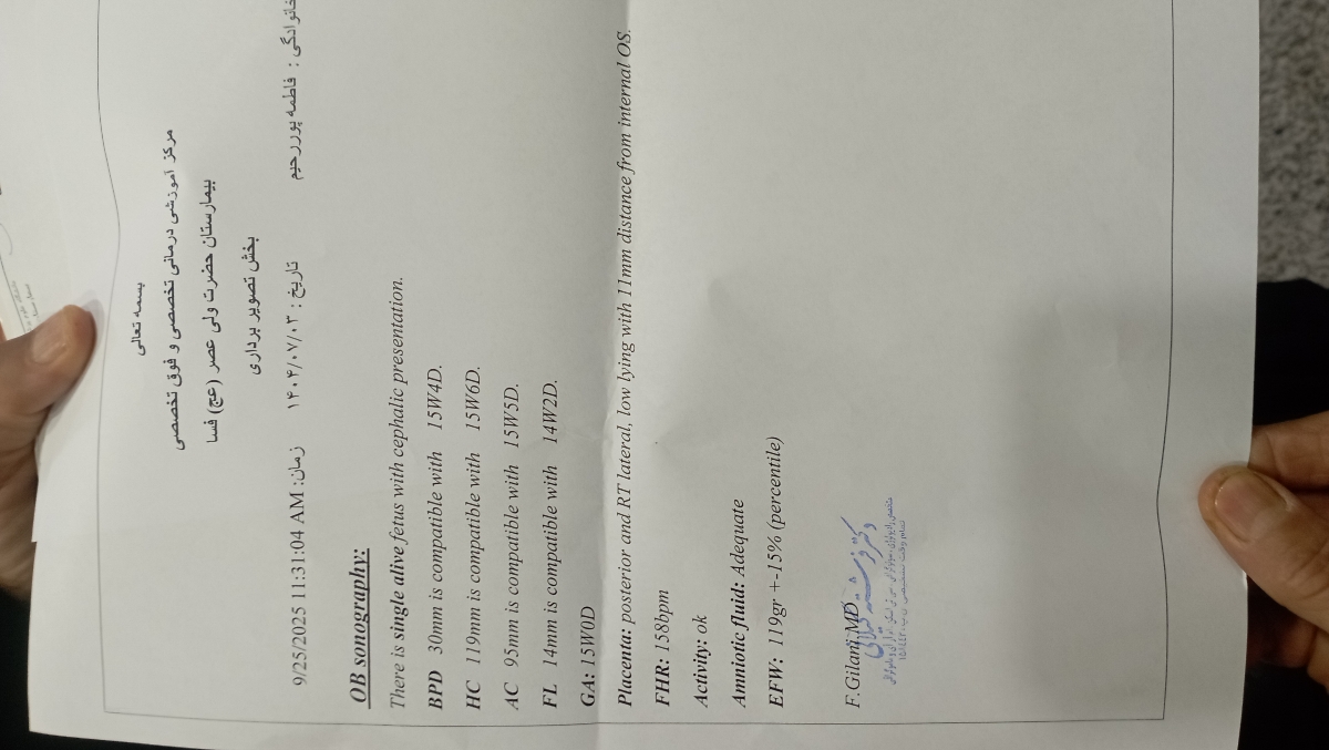 لکه بینی در هفته ۱۵