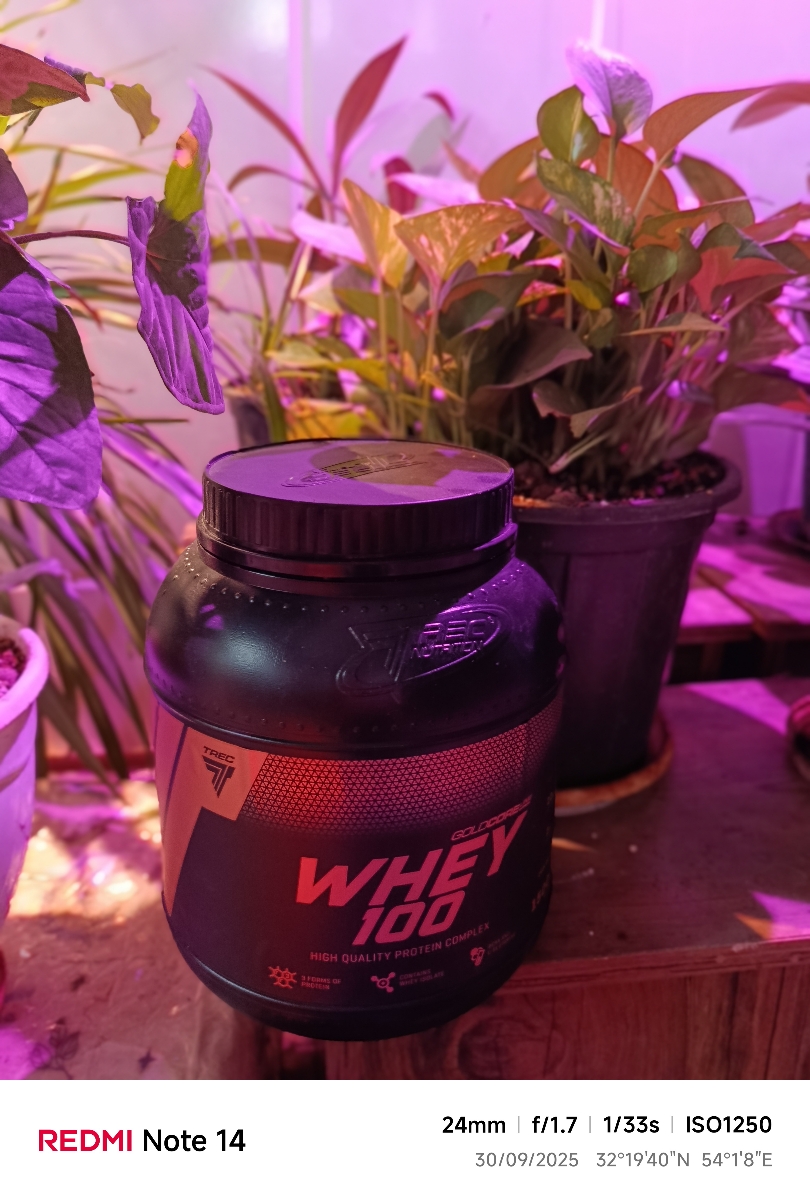 پودر پروتئین لاین وی 100 پودر پروتئین لاین وی 100