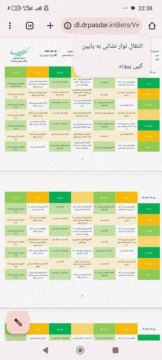 این رژیم دوهفتم بود این رژیم دوهفتم بود