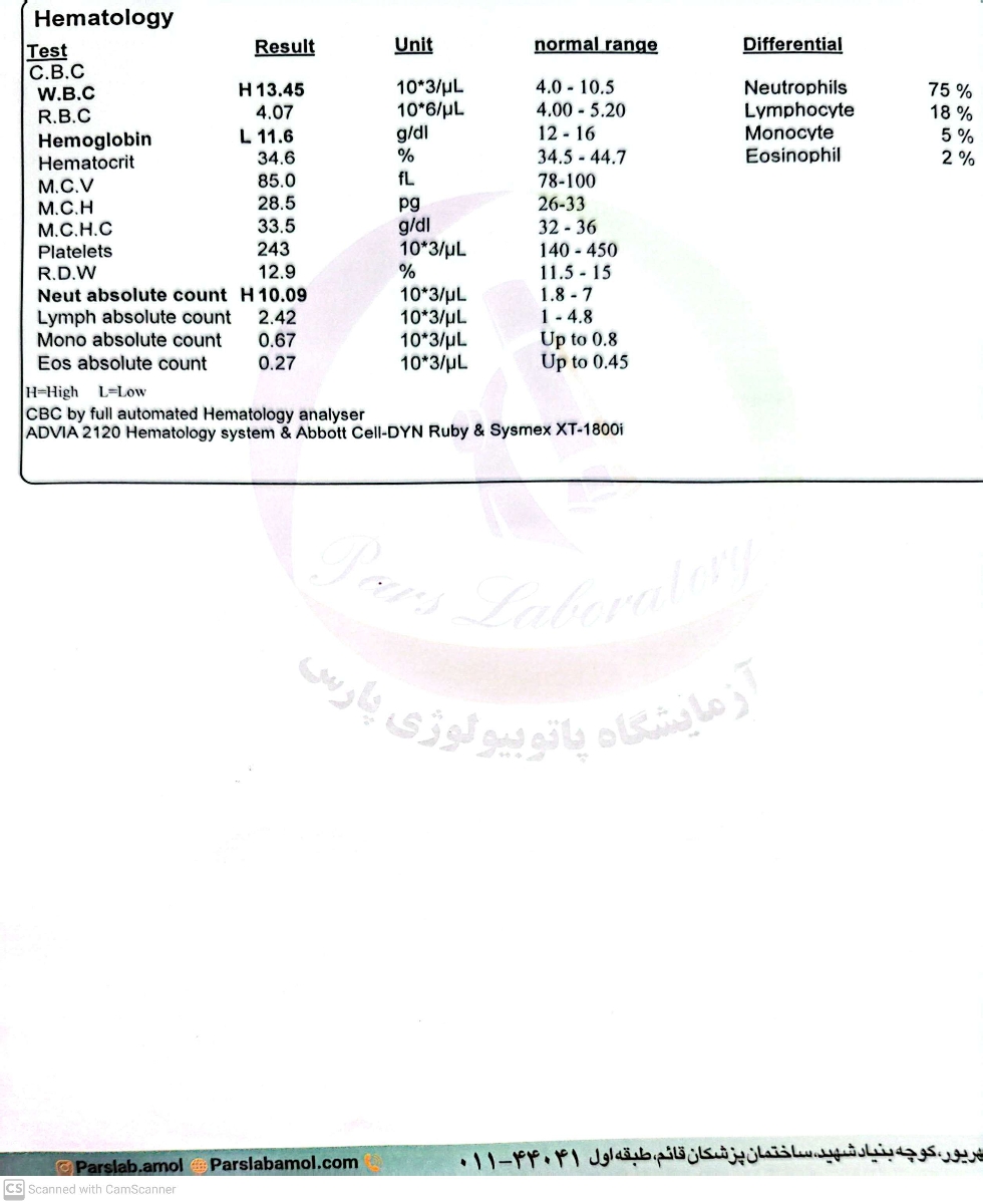 تفسیر آزمایش ابتدایی بارداری