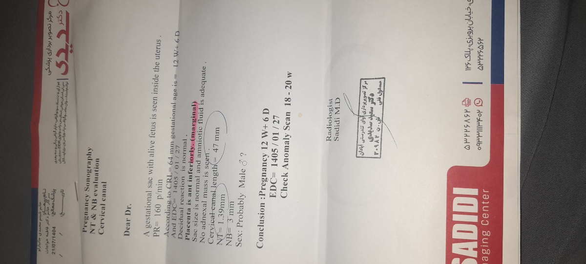 تفسیر جواب سنوی ان تی تفسیر جواب سنوی ان تی