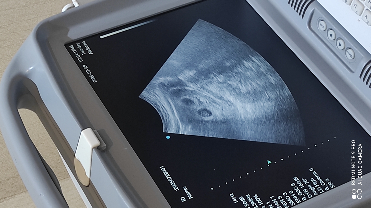 این بود این بود