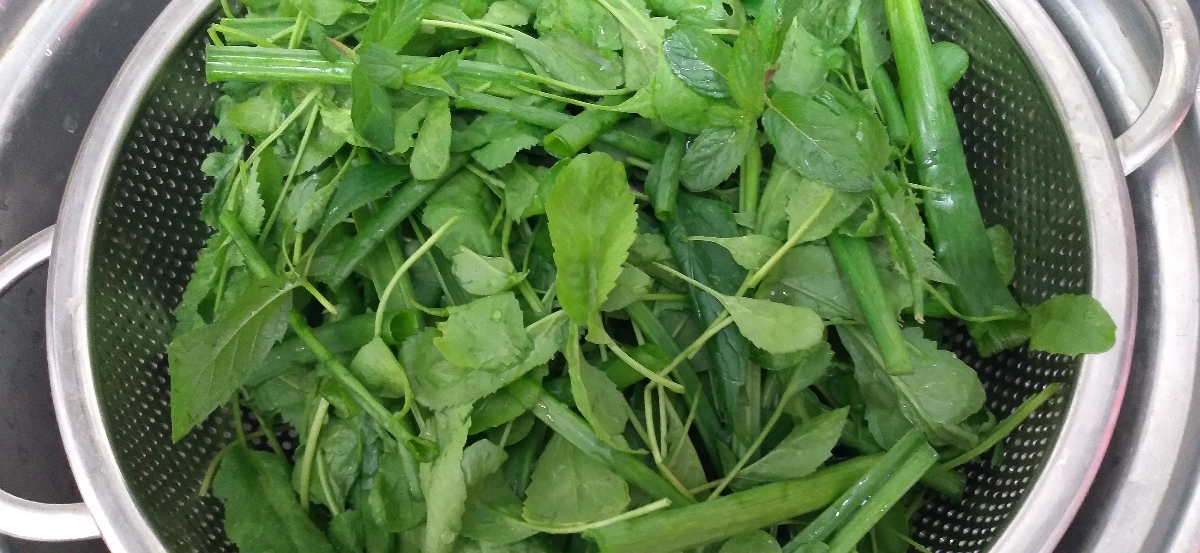 سبزی ارگانیک حیاط م