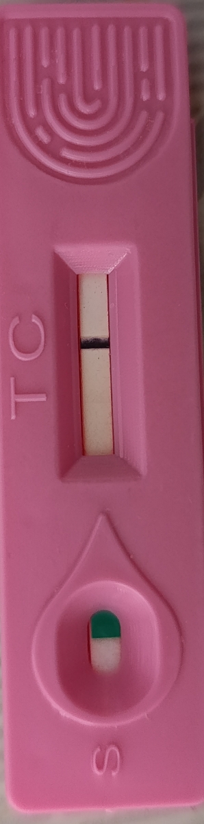 عکس بی بی چک و هاله