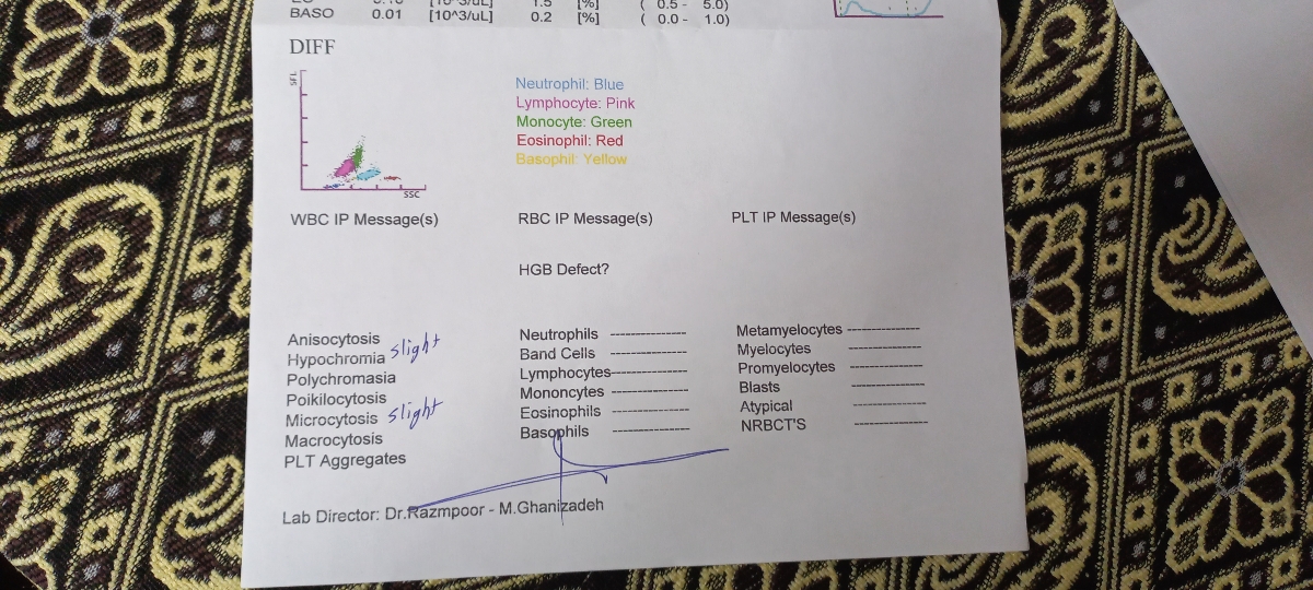 لطفا تفسیر آزمایش چکاپ