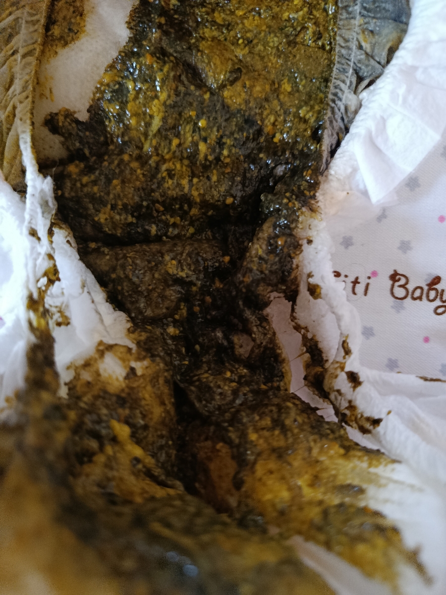 معذرت خواهی میکنم بابت عکس