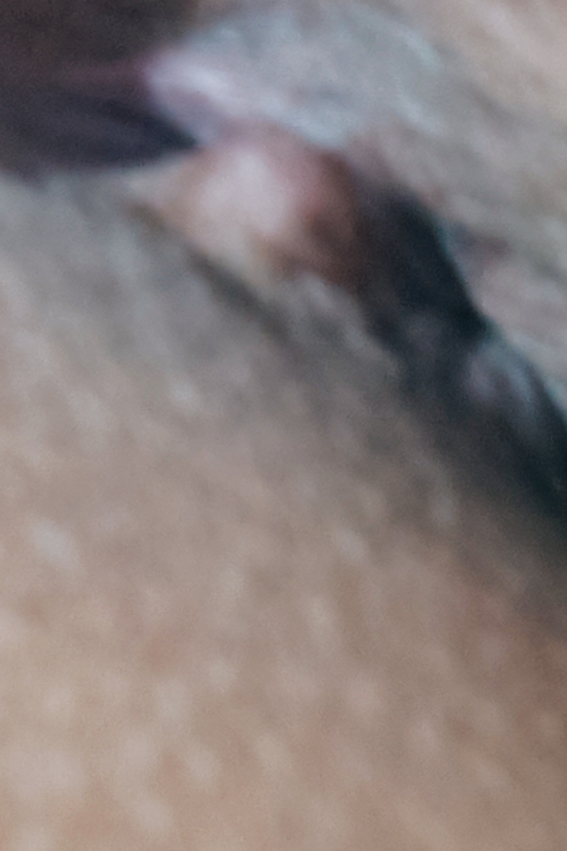 باعرض معذرت و‌پوزش