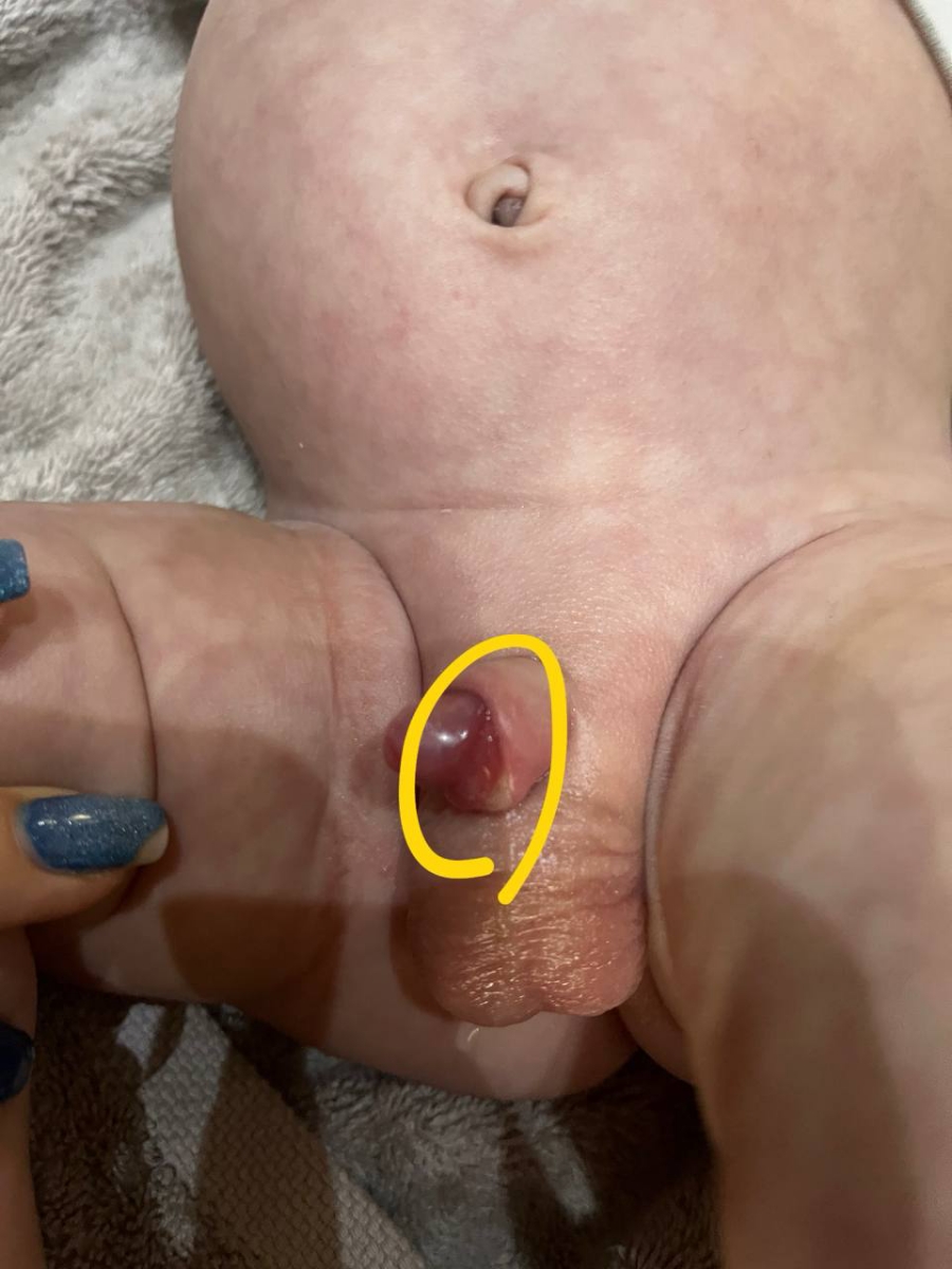 میخواستم عکس ختته بفرستم ببینید اوکی هست؟ میخواستم عکس ختته بفرستم ببینید اوکی هست؟