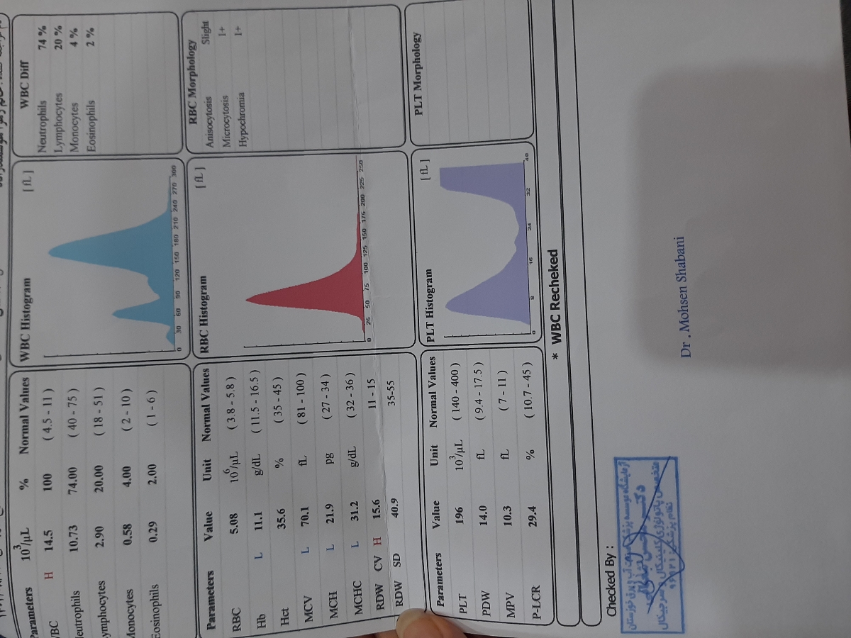 تکرار آزمایش ادرار ۲۴ ساعته تکرار آزمایش ادرار ۲۴ ساعته