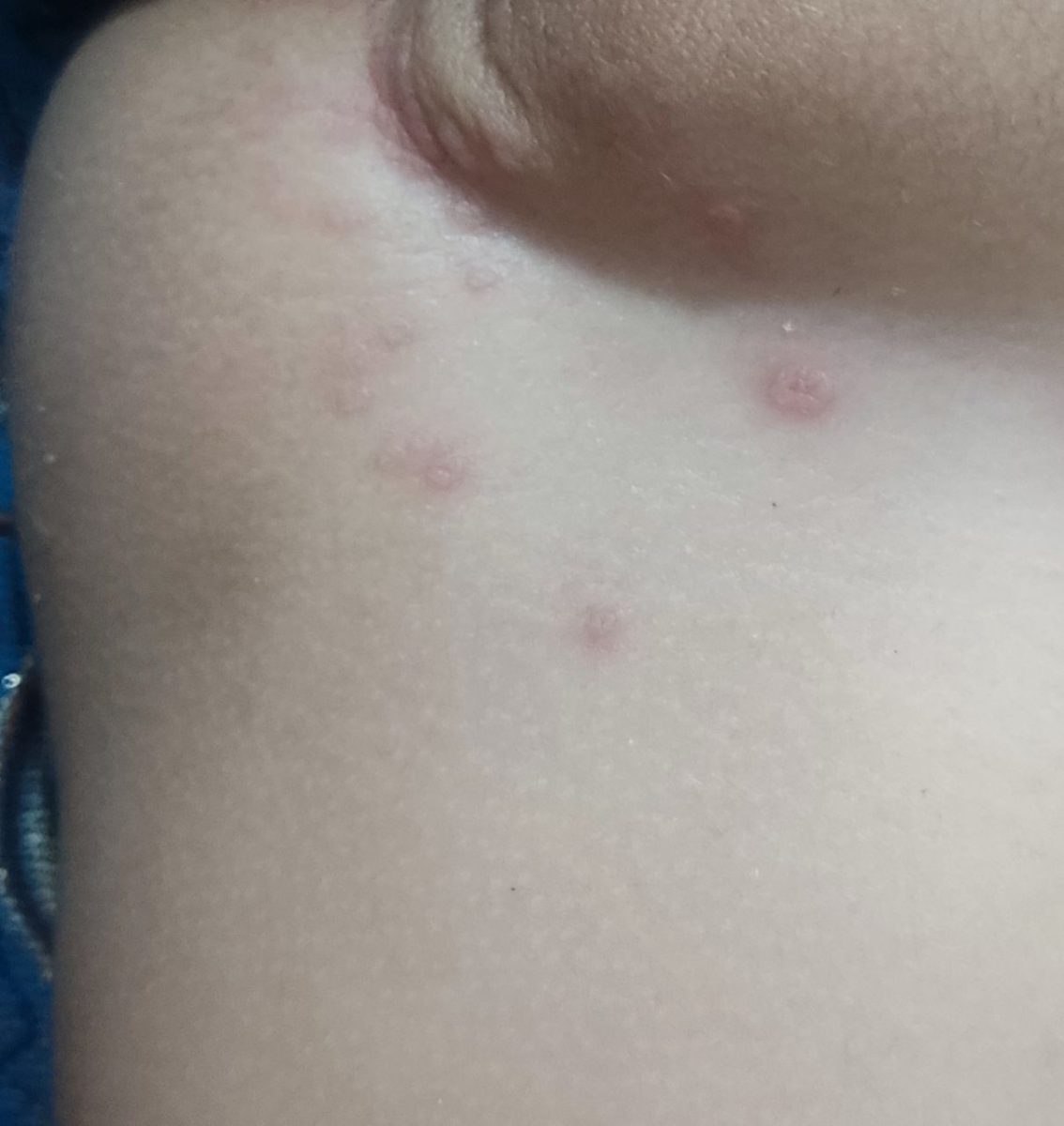 شکل دونه ها اینجوریه خانم دکتر شکل دونه ها اینجوریه خانم دکتر