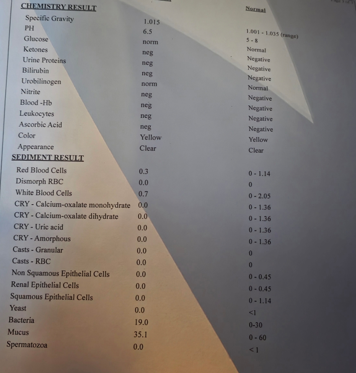 تفسیر آزمایش چکاپ کودک ۴ساله تفسیر آزمایش چکاپ کودک ۴ساله